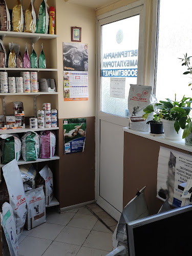 Comentarii opinii despre Зооветмаркет