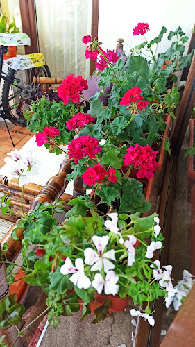 Opinii despre Бар Селико în Русе - Гастрономия и хотелиерство