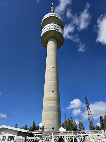 Comentarii opinii despre Снежанка Пампорово