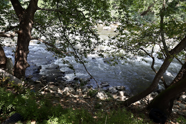 Comentarii opinii despre Ресторант "Рай"