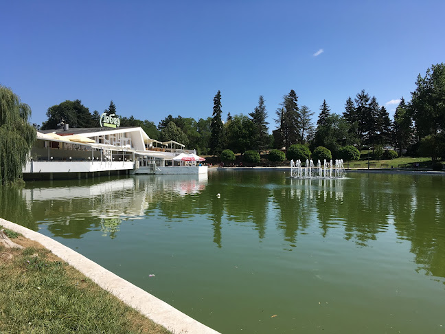 Comentarii opinii despre Комплекс „Лебед“