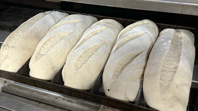 ул. „Сан Стефано“ 47, 5800 Плевен