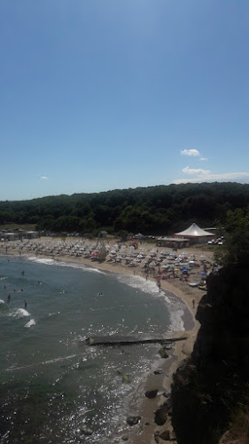 Пицария "Куцата Медуза"