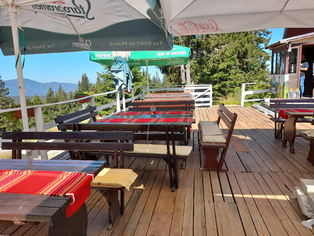 Чайна Мургавец