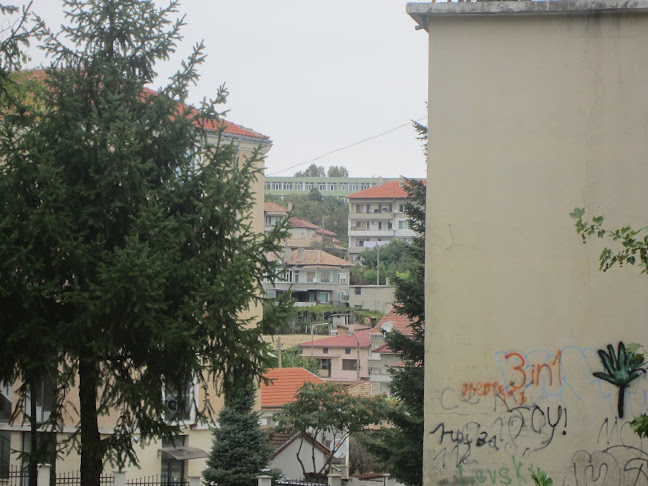 Comentarii opinii despre Градски пазар