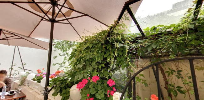 33 Gastronauts/ 33 Гастронавта