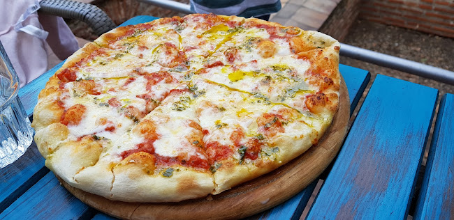 Comentarii opinii despre Mi Casa