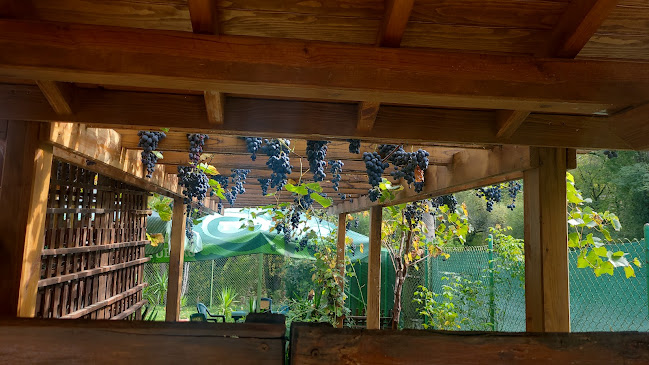 3009, 2161 Правец