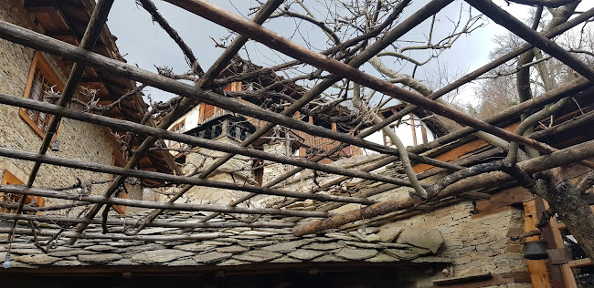 2969 Ковачевица