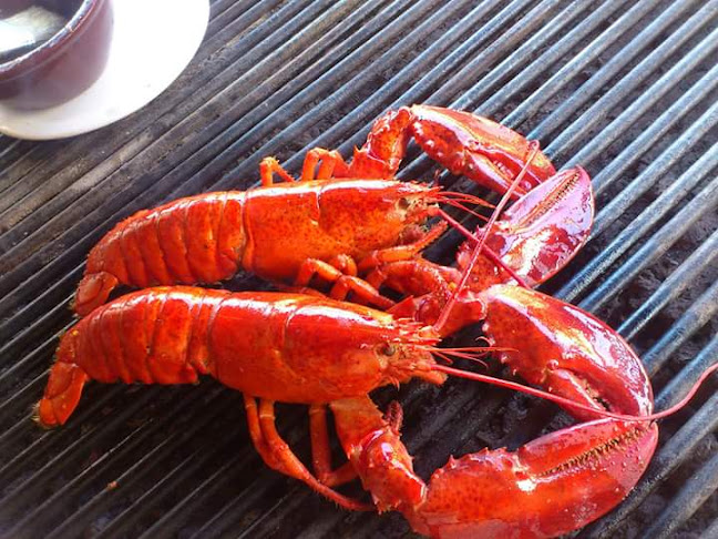 Unnamed Road,, 9007 Варна, България