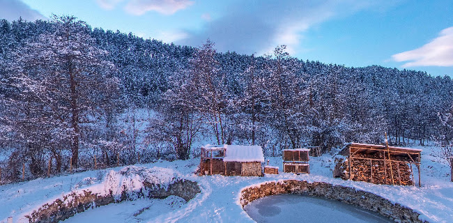 Рила фиш - Белица