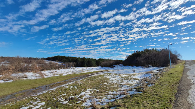 Restaurant Bar Harmony Suites Monte Carlo - Слънчев бряг
