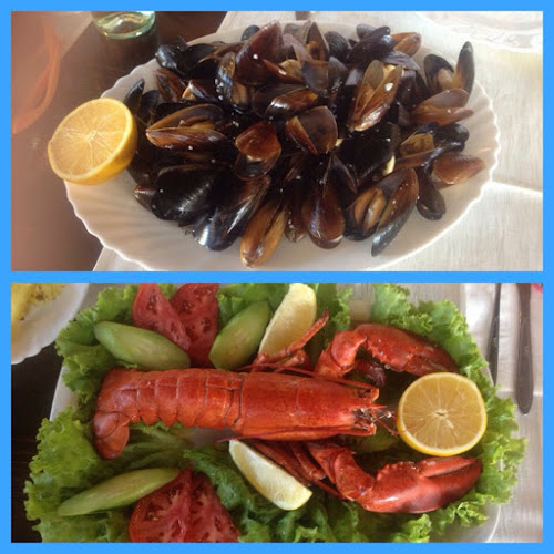 Морският вълк , " The sea wolf " - Равда