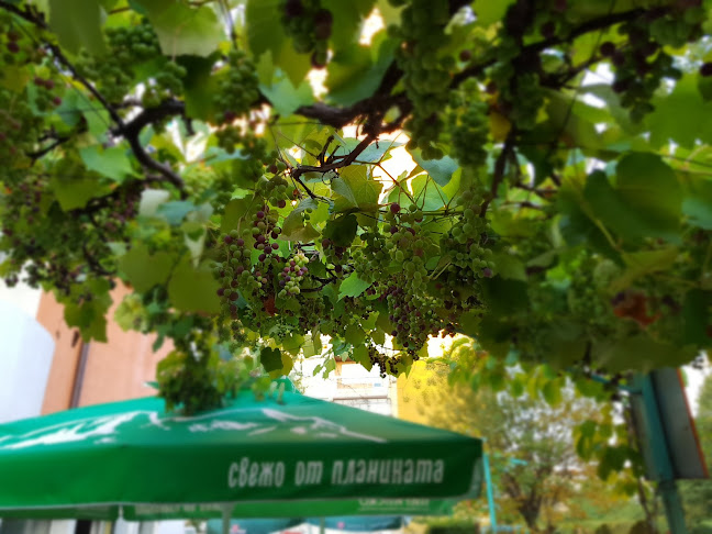 Comentarii opinii despre Бирария "Милкана"