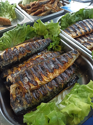 Рибката - Плевен