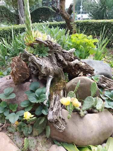 ж.к. Дружба 1, бул. „Кръстю Пастухов“ 39, 1592 София