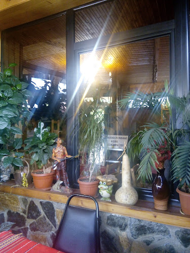 Comentarii opinii despre При Рени