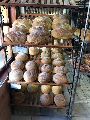 Плевен Център, ул. „Георги С. Раковски“ 50, 5803 Плевен