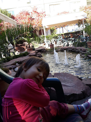 Opinii despre Оптика în Търговище - Гастрономия и хотелиерство