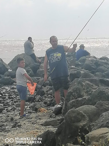 Comentarii opinii despre Malibu