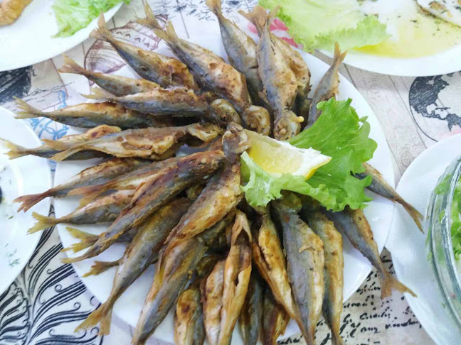 Бахама - Созопол