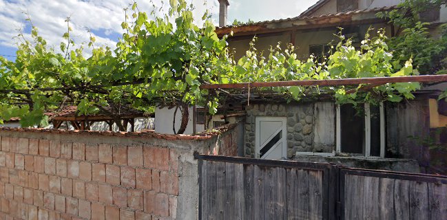 Заведение "Алф"