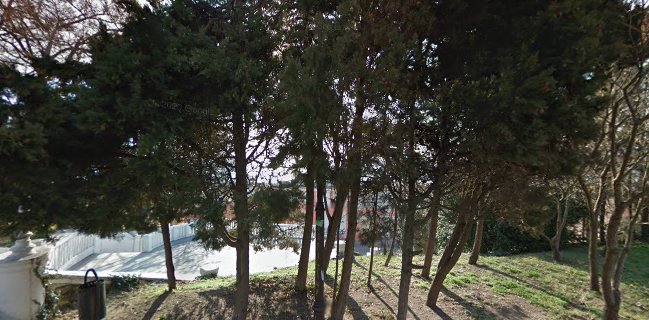 Comentarii opinii despre Морска тераса