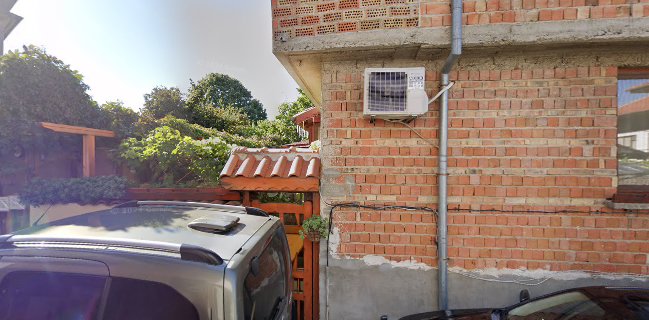 Старият елен