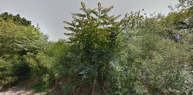 Simple Beach&Restaurant