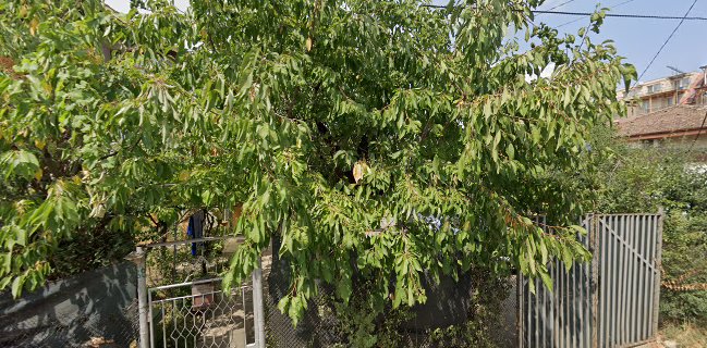 Mесарница "Рибарски"