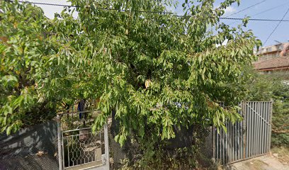 Mесарница "Рибарски"