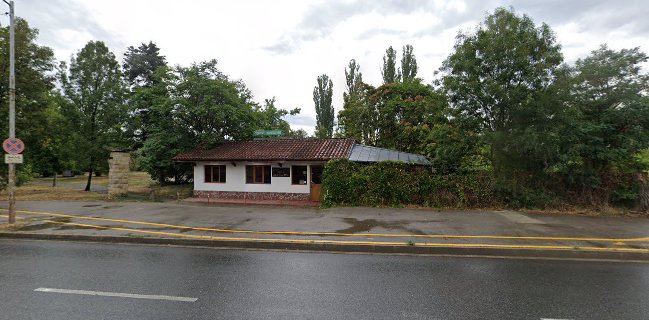 Под върбите