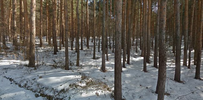 Вила Електра