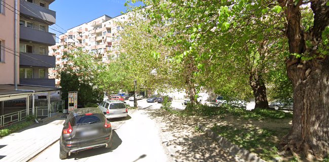 Житената Питка