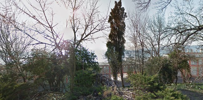 Comentarii opinii despre Сийкретс