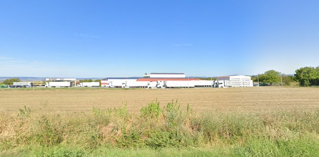 Мултимескореком