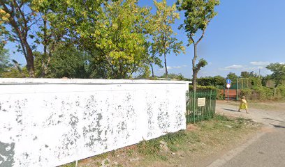 Маркиза Виктори