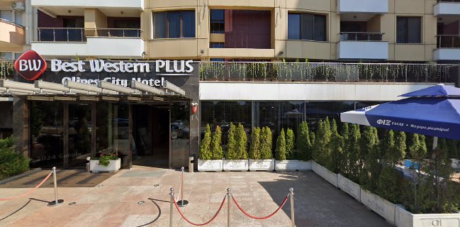 Гръцки ресторант YAMAS