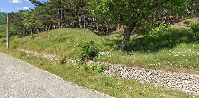 Хумсафар бар