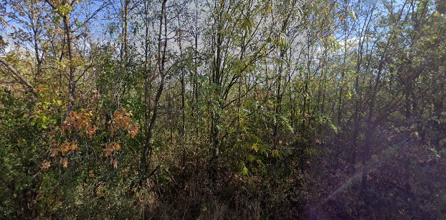 Ресторант „Язовир Брягово”