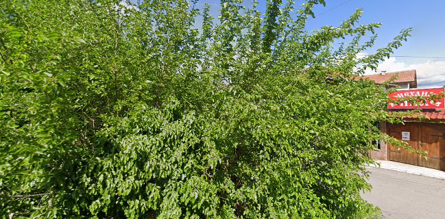 Opinii despre Комплекс "Яна" în Кюстендил - Гастрономия и хотелиерство