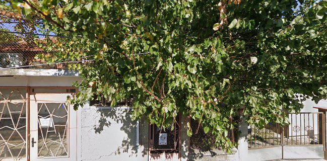 ТОНИКА-К.ЖИВКОВ