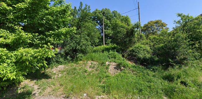 Opinii despre БИС-98 în Асеновград - Гастрономия и хотелиерство