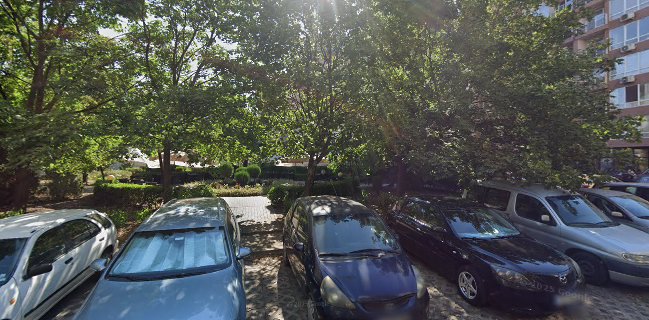 Garden pizza and food