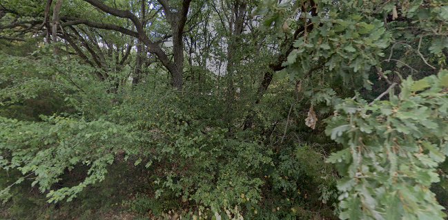 Огледалата