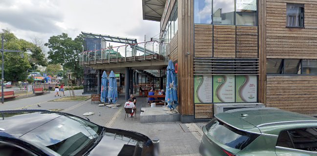 Бистро Рино