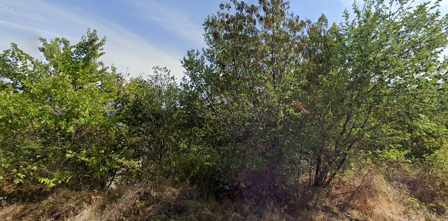 Бистро Фичоза