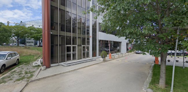 Феста София