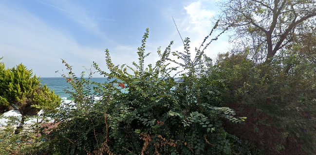 Бистро Морска Звезда | Ресторант Фичоза