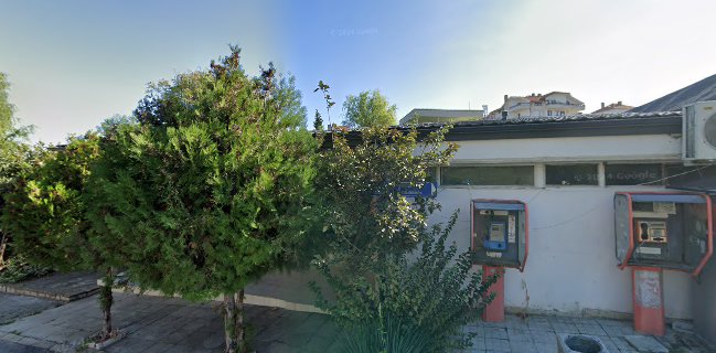 Черноморец